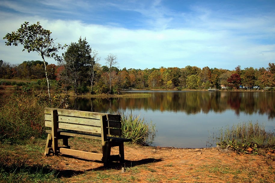 Five Prince William County Parks to Visit this Fall